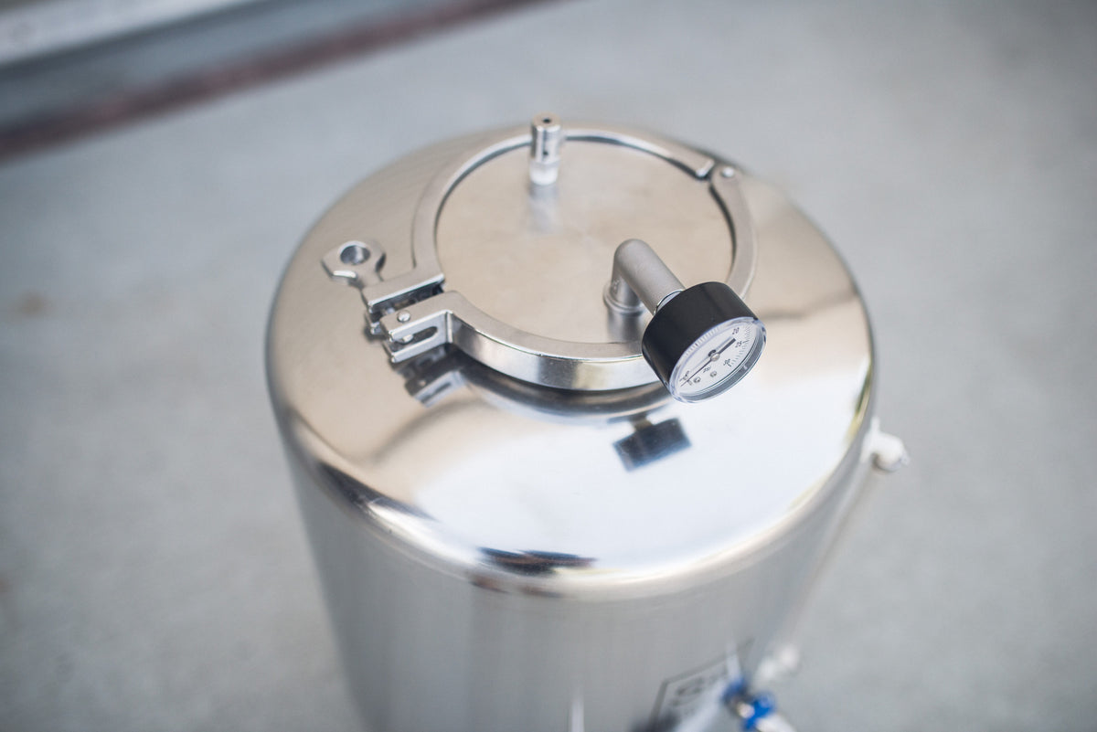 Ss Brewtech Brite Tank Stainless Steel